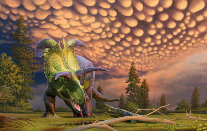 dinosaur with horns for eyebrows and 200 teeth discovered
