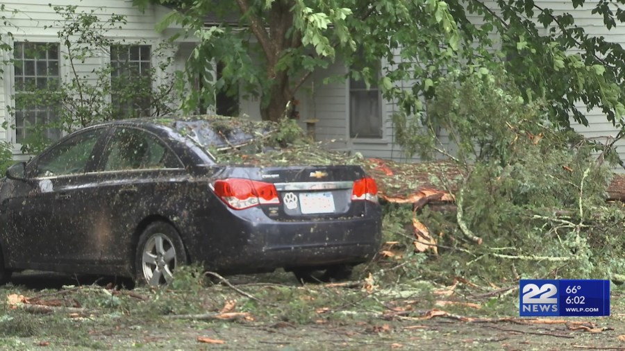 Severe Storms Bring Trees Down Wednesday Evening