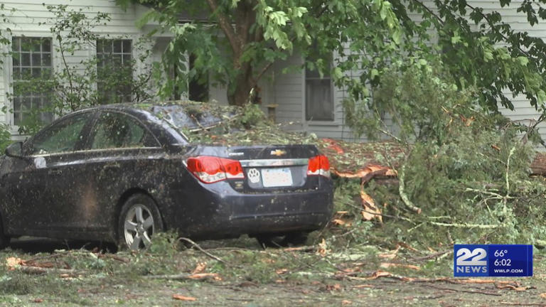 Severe storms bring trees down Wednesday evening