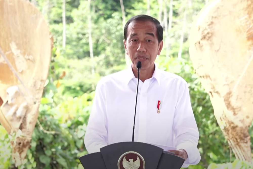 Tata Kelola Dan Niaga Kratom Direstui Jokowi, Moeldoko: Aturan Segera ...