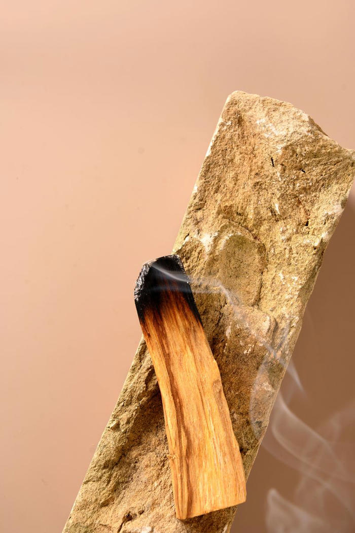 once used to clear bad energy, palo santo is now a perfume darling