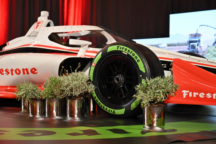 amazon, microsoft, a small shrub used to make indycar racing tires could help save rainforests and make deserts greener