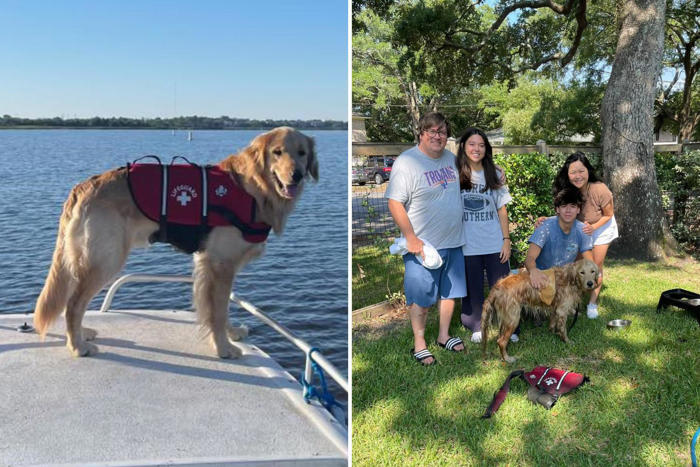 dog missing after boat accident found alive with his life vest on