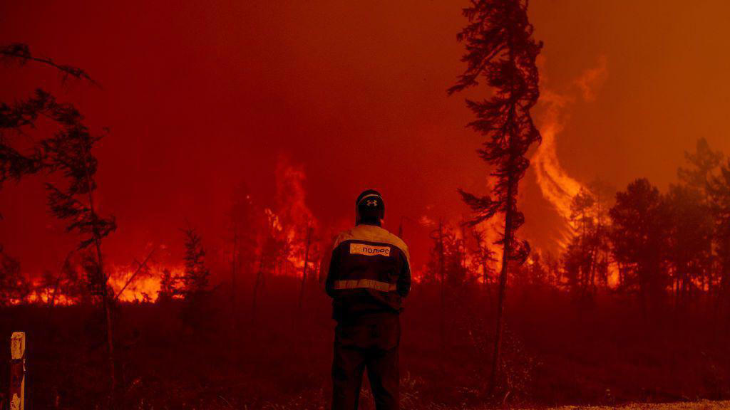 wildfires ravage arctic circle, eu monitor reports