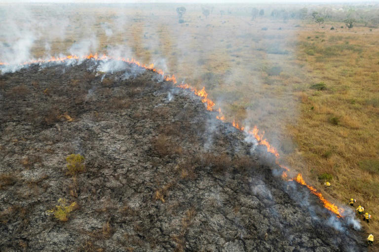 amazon, au pantanal, une pompière endeuillée lutte contre les flammes