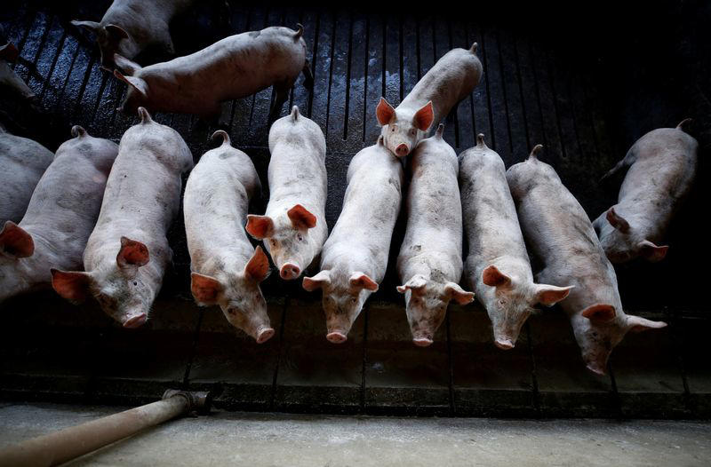 possível ação da china contra carne suína da ue seria faca de dois gumes para brasil