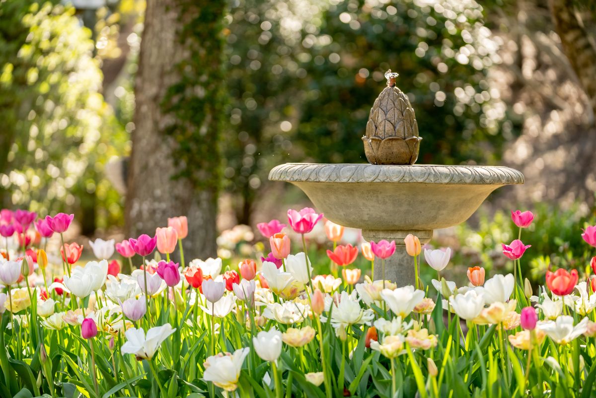 21 DIY Water Fountain Ideas That Will Spruce Up Your Garden