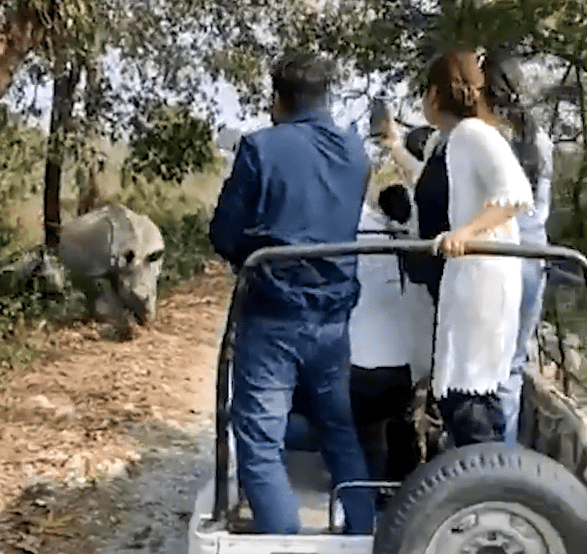 <p>In a frantic attempt to escape rhino, the driver hits a ditch and the vehicle topples over, rolling off the road in a cloud of dust.</p>           Sharks, lions, tigers, as well as all about cats & dogs!           <a href='https://www.msn.com/en-us/channel/source/Animals%20Around%20The%20Globe%20US/sr-vid-ryujycftmyx7d7tmb5trkya28raxe6r56iuty5739ky2rf5d5wws?ocid=anaheim-ntp-following&cvid=1ff21e393be1475a8b3dd9a83a86b8df&ei=10'>           Click here to get to the Animals Around The Globe profile page</a><b> and hit "Follow" to never miss out.</b>