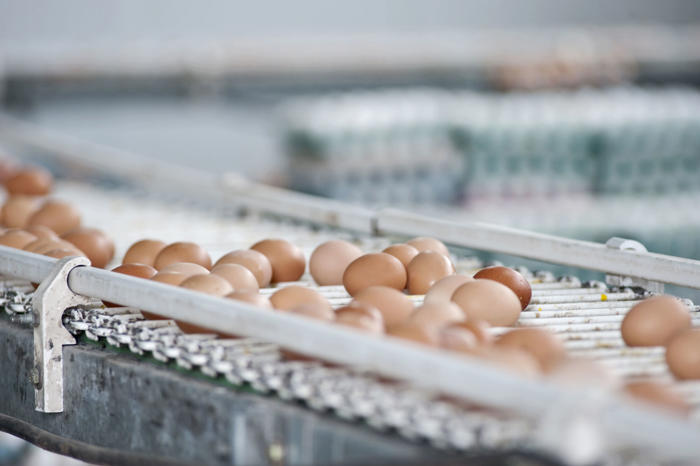 l’ue va rétablir des droits de douane sur le sucre et les œufs ukrainiens