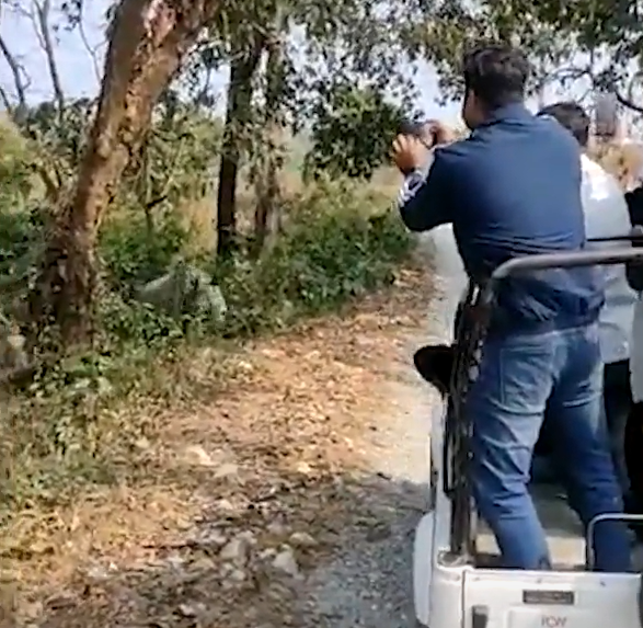 <p>In a harrowing incident at Jaldapara National Park, India, a video captured a raging rhino forcefully charging at a safari jeep filled with tourists. </p>           Sharks, lions, tigers, as well as all about cats & dogs!           <a href='https://www.msn.com/en-us/channel/source/Animals%20Around%20The%20Globe%20US/sr-vid-ryujycftmyx7d7tmb5trkya28raxe6r56iuty5739ky2rf5d5wws?ocid=anaheim-ntp-following&cvid=1ff21e393be1475a8b3dd9a83a86b8df&ei=10'>           Click here to get to the Animals Around The Globe profile page</a><b> and hit "Follow" to never miss out.</b>