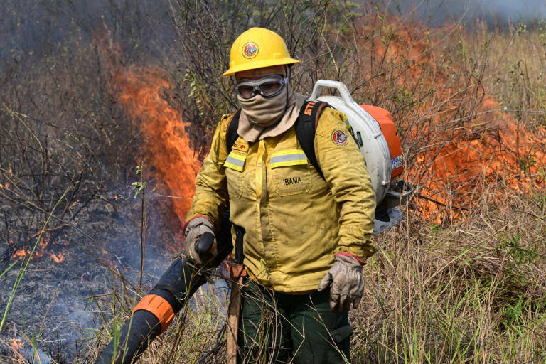 amazon, au pantanal, une pompière endeuillée lutte contre les flammes