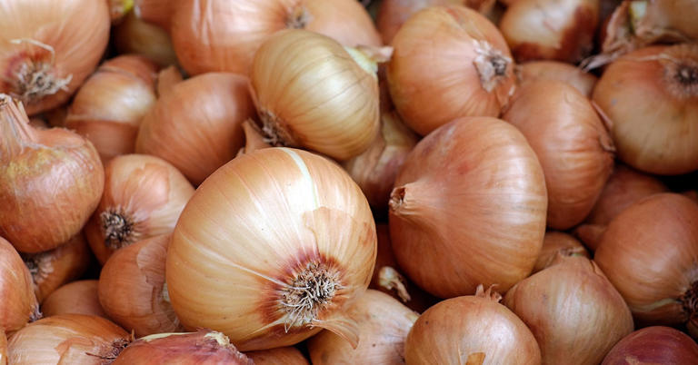 When to Harvest Onions for the Best Quality and Flavor
