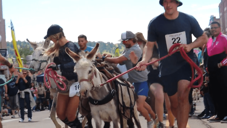 Everything to know about the Donkey Derby Days in Cripple Creek