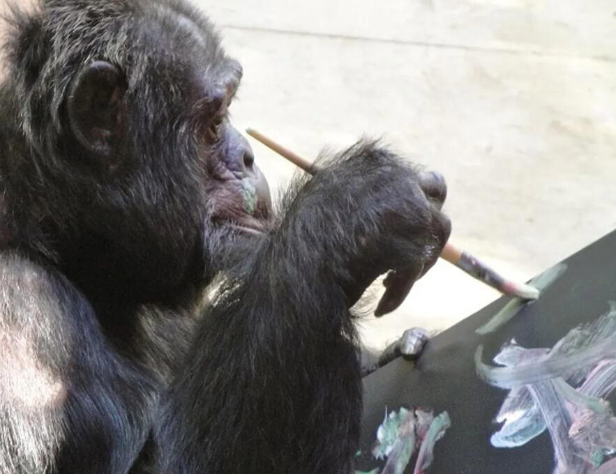 la historia de bubbles, el famoso chimpancé que fue adoptado por michael jackson