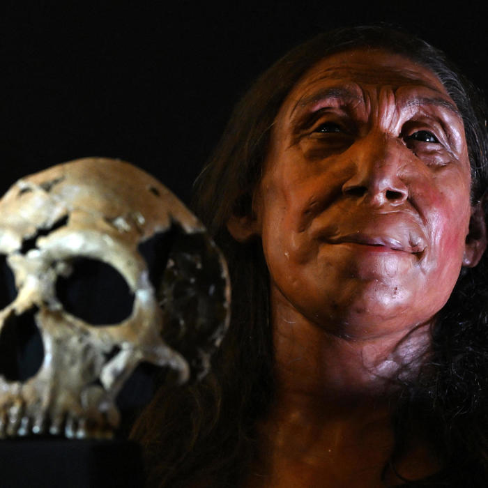 fossil of neanderthal child with down syndrome fuels debate over species