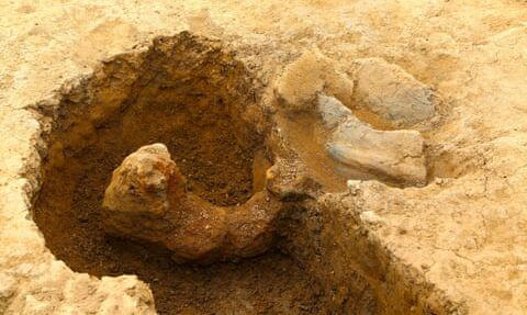 des archéologues découvrent sous un terrain de football des vestiges de l'âge de bronze