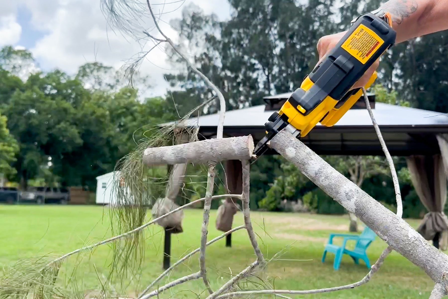 6 Best Electric Pruning Shears, Tested and Reviewed