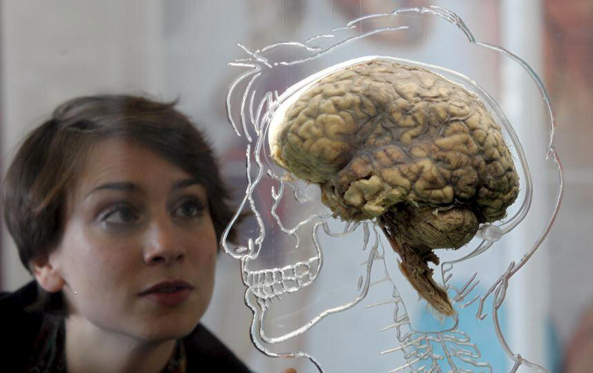 ¿qué es el “recableado” cerebral y por qué la ciencia establece que comienza a partir de los 40 años?