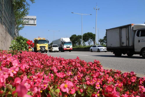 올림픽대로·강변북로에 '서울색 꽃길'…서울 방문객 맞는다
