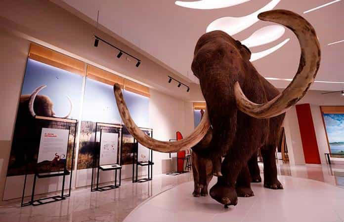 los mamuts que te vigilan en el museo “quinametzin”