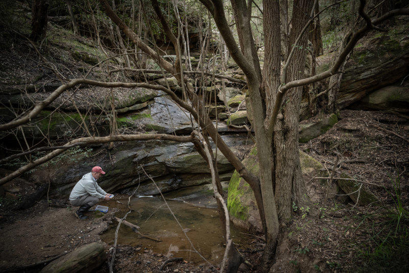 ‘major pollution incident’: toxic sludge poisons pristine sydney river, expert says
