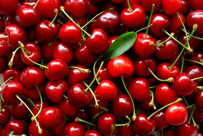 caution: cherry pits can cause cyanide poisoning—here’s how