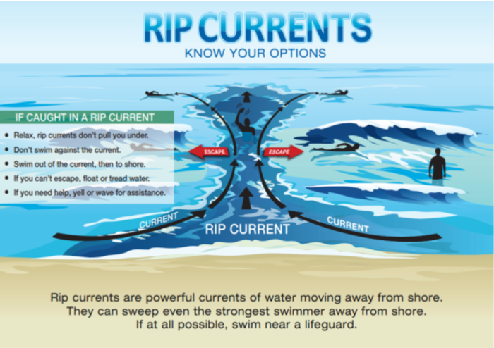 eight people have died in rip currents in recent days - here is why it should be safer at beaches over the holiday
