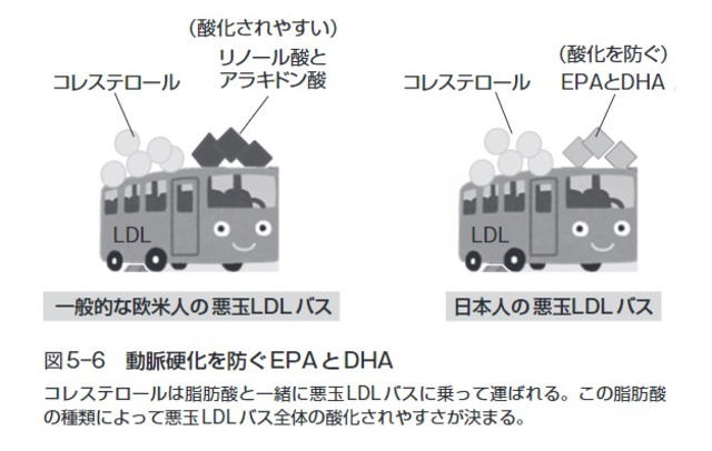 「心筋梗塞」が少ない「日本人」、じつは「2つの食材」を食べていたからだった…！