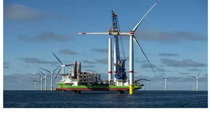 rwe roept bouwers windparken op om samen natuur in noordzee te beschermen