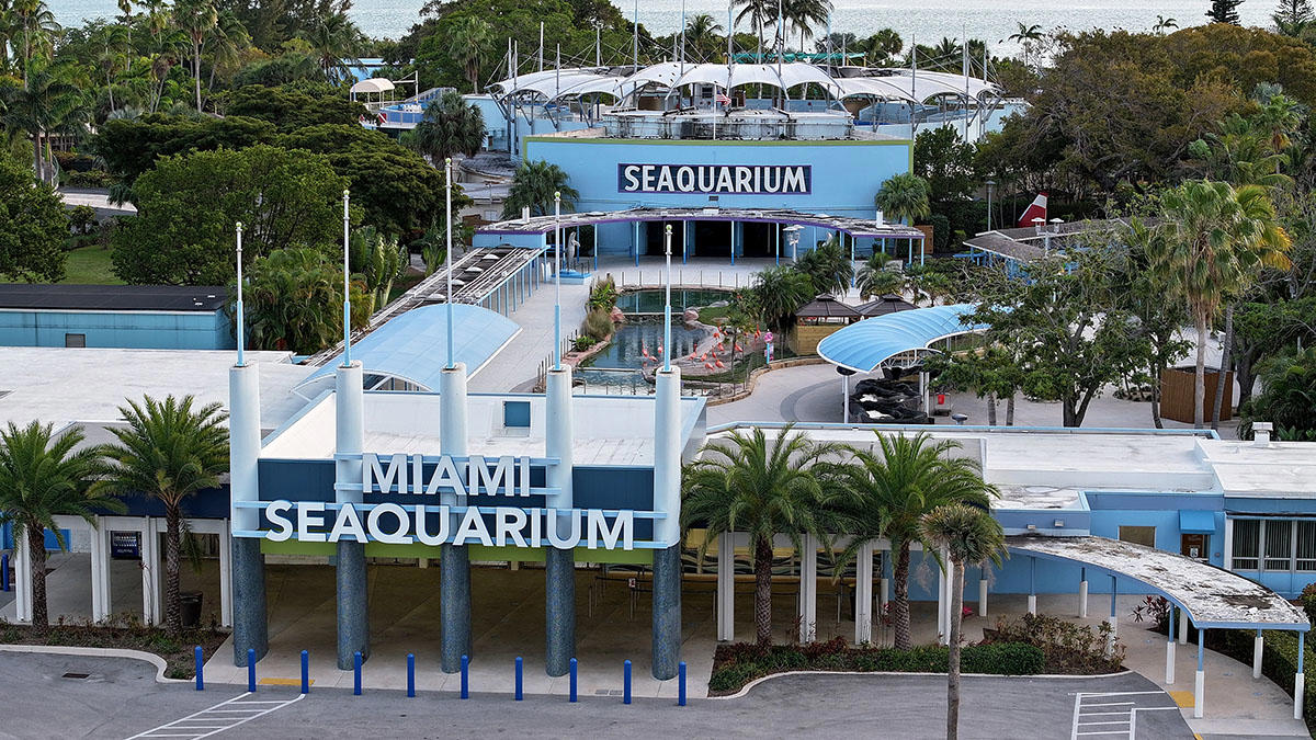 miami seaquarium muestra sus mejoras en medio de disputa legal con el condado