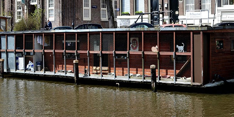 Amsterdam's Beloved 'Cat Boat' Lives Up To Its Name In The Very Best Way
