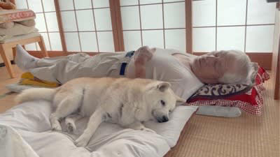 犬と一緒に『お昼寝したい』おじいちゃん…可愛すぎる『結末』が33万再生「仕方なく付き合うの優しすぎｗ」「真のヒロインはじいちゃん」