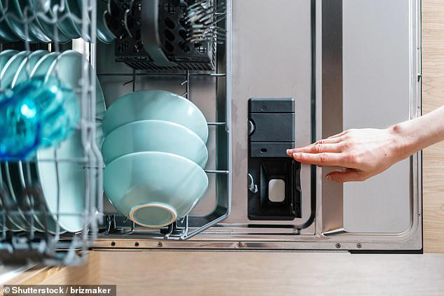 dishwasher expert on the right way to load it