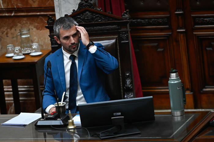 la cámara de diputados argentina ratifica la ley de desguace del estado impulsada por milei