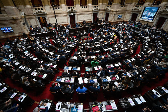 la cámara de diputados argentina ratifica la ley de desguace del estado impulsada por milei