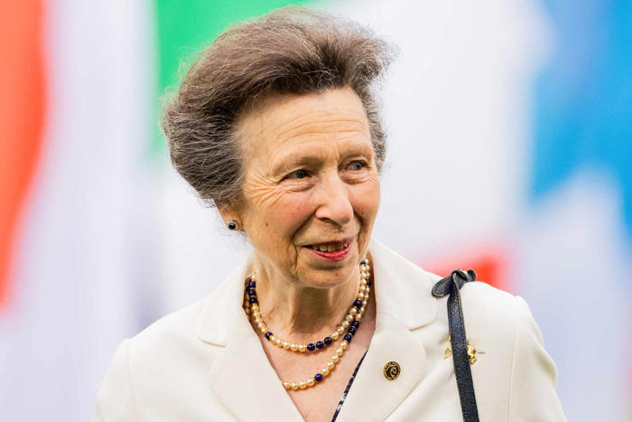 princess anne leaves hospital to continue recovery at home after concussion in horse 'incident'