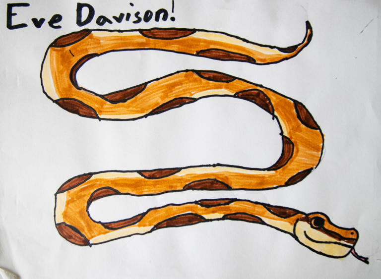 Creative Calusa Nature Center campers draw gallery-worthy portraits of ...