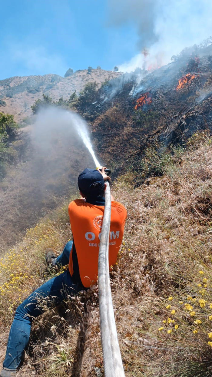 bingöl’ün 2 ilçesinde orman yangını çıktı: ekipler seferber oldu