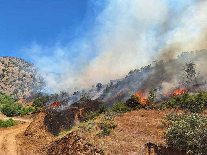 bingöl’ün 2 ilçesinde orman yangını çıktı: ekipler seferber oldu