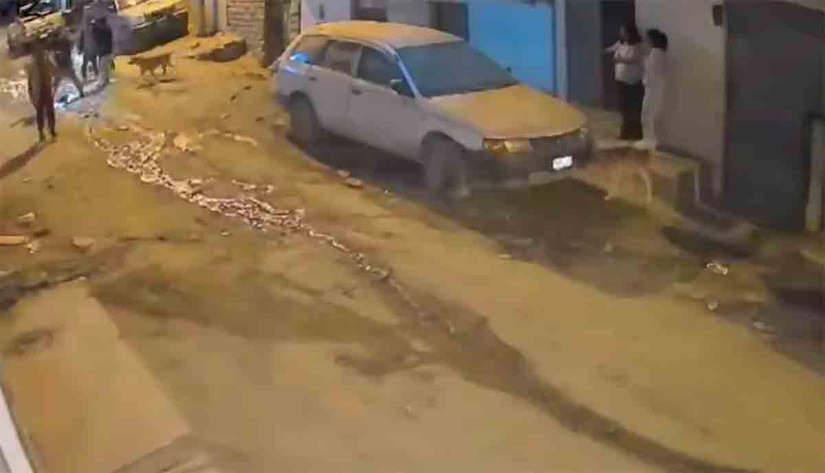 ビデオ: ペルーの地震が引き起こした津波警報の映像