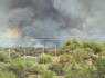 Residents in parts of Arizona’s most populous county asked to evacuate as a wildfire threatens homes<br><br>
