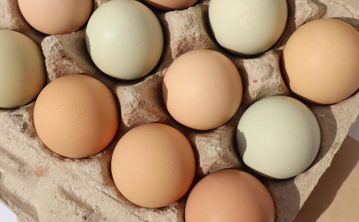 huevos arcoíris: un producto natural que debes conocer