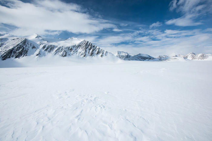 im schnee der antarktis: forscher machen überraschende entdeckung