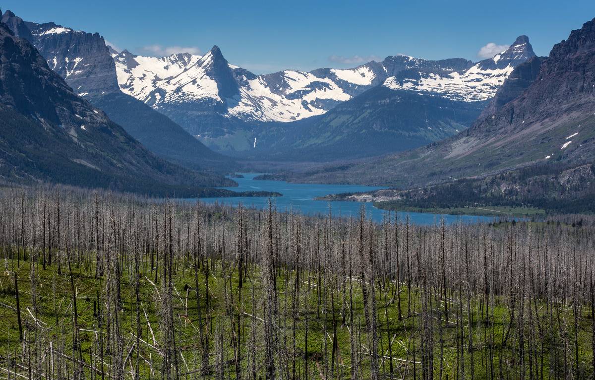 <p>Always wanted to see the mountains in Montana? Been dying to drive along California's coastline? It's easy for you to go from place to place and comfortably travel with your belongings using an RV.</p> <p><b><a href="https://www.exploredplanet.com/info/most-overrated-tourist-attractions-in-the-us/" rel="noopener noreferrer">Read More: Some People Consider These To Be The Most Overrated Tourist Attractions In The United States</a></b></p>
