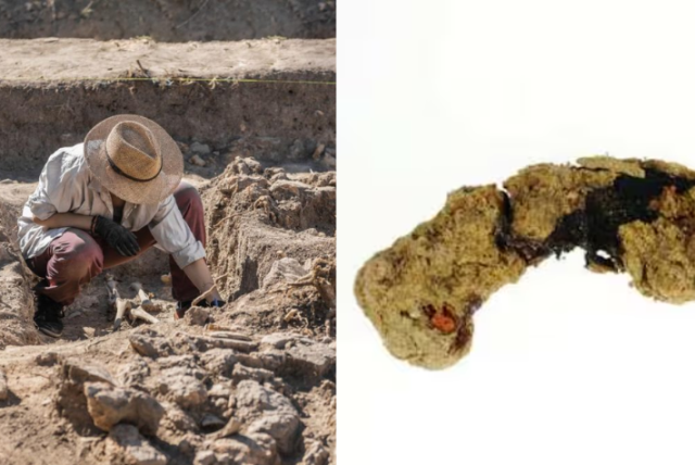 desentierran los rastros de un campamento romano y descubren una ‘rareza’ de 2000 años de antigüedad