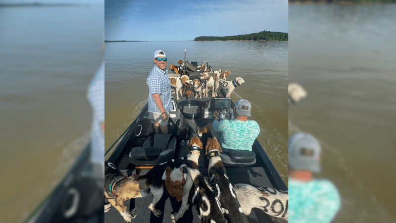 chtěli chytat okouny, z jezera si však odvezli 38 psů. pohotovou reakcí zabránili tragédii