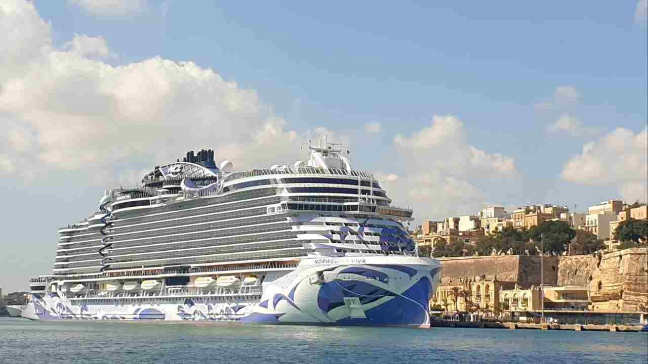 <p>Norwegian Cruise Line was one of the first major cruise lines to promote the single-cruising trend. Now, on six of their cruise ships, singles can reserve a studio-style stateroom perfect for just one. In addition to the studios, single cruisers have access to their exclusive studio lounge, allowing all singles to interact and meet one another in a secluded space. </p>