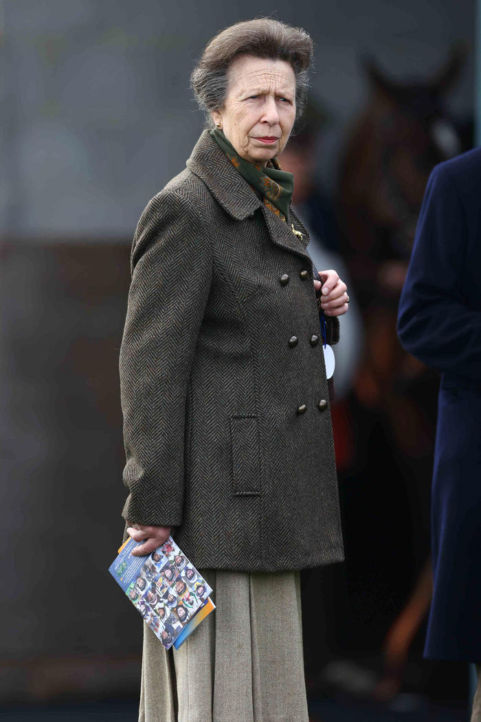 princess anne has returned home from hospital following concussion incident