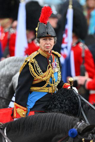 princess anne has returned home from hospital following concussion incident