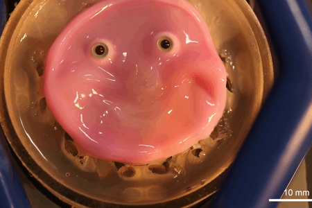 This pink blob with beady eyes is a humanoid robot with 